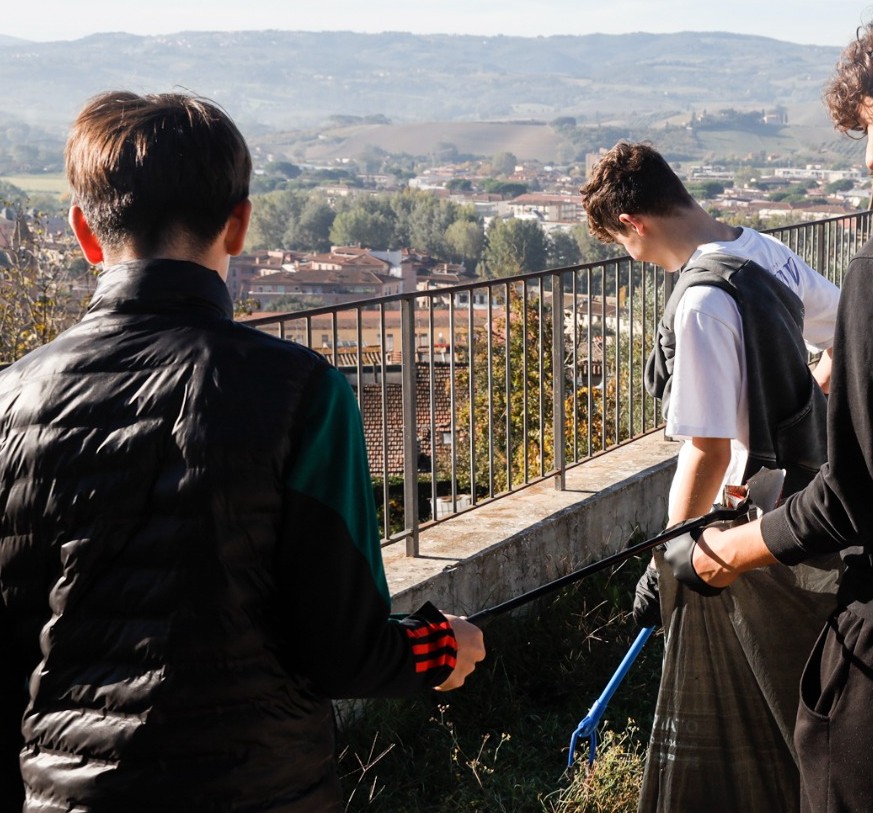 alcune immagini della raccolta a Castelfiorentino alcune immagini della raccolta a Castelfiorentino