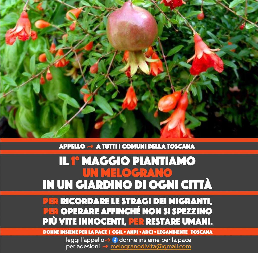 Locandina dell'iniziativa "Un melograno in un giardino di ogni città"