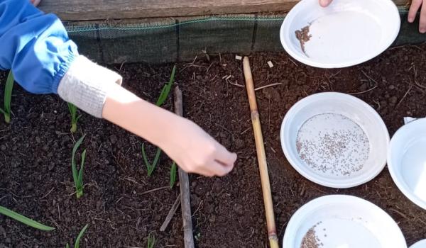 Attività dell'iniziativa Orto in cassetta Attività dell'iniziativa Orto in cassetta