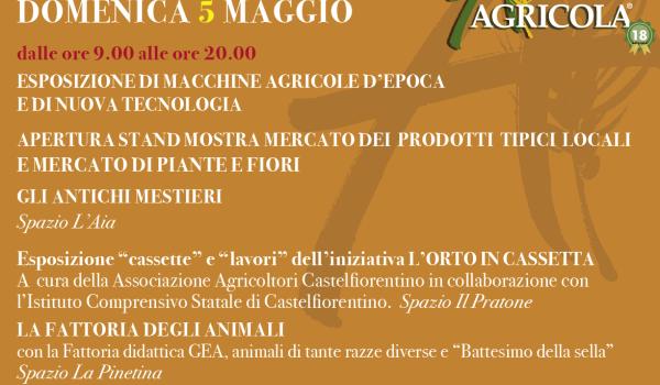 Programma di domenica 5 maggio, mattina