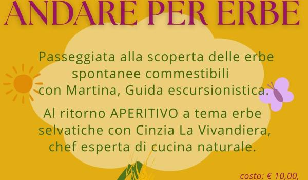 Informazioni "Andare per erbe"