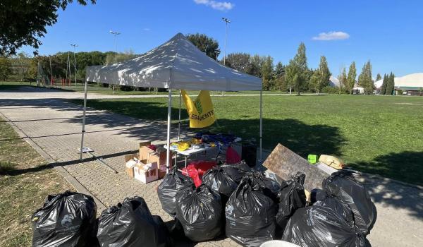 alcune immagini della raccolta a Castelfiorentino alcune immagini della raccolta a Castelfiorentino