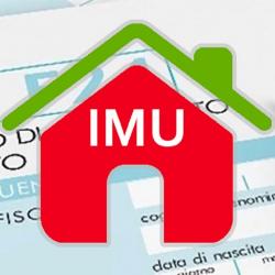 Logo IMU